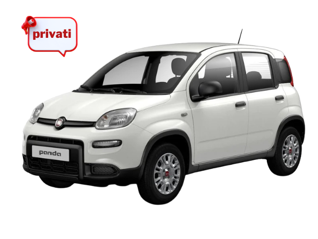 noleggio lungo termine fiat panda